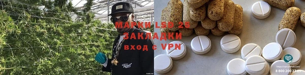 индика Алексин