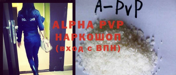 индика Алексин