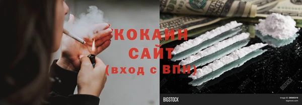 индика Алексин