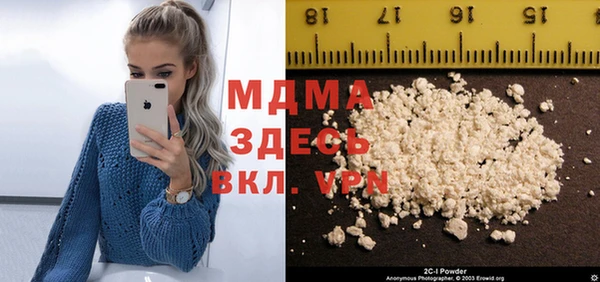 индика Алексин