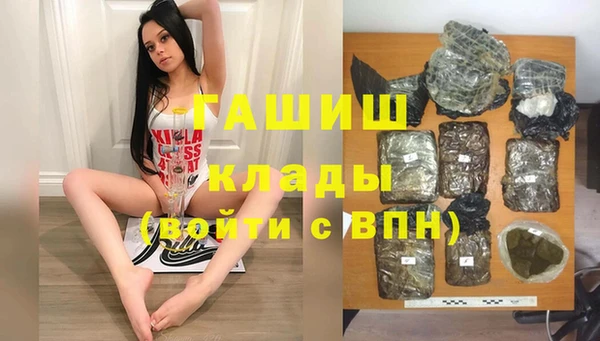 индика Алексин
