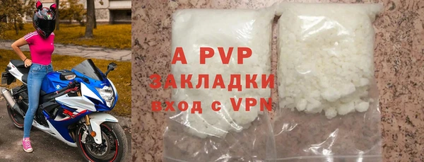 индика Алексин