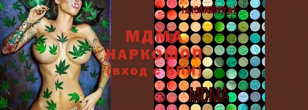 индика Алексин