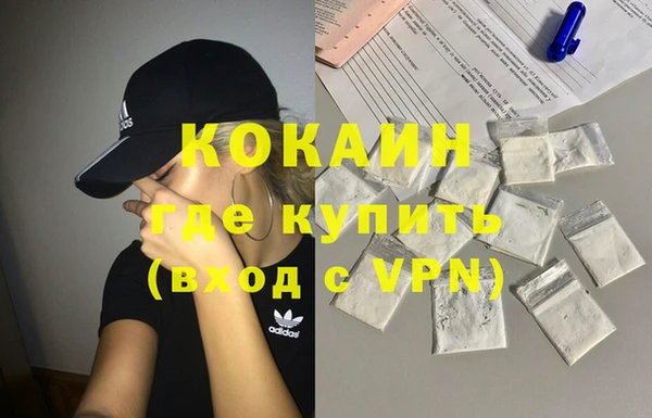 индика Алексин