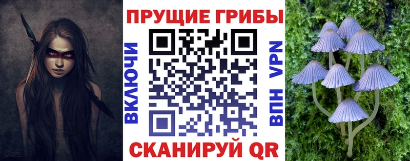 Псилоцибиновые грибы MAGIC MUSHROOMS  где купить   Поронайск 